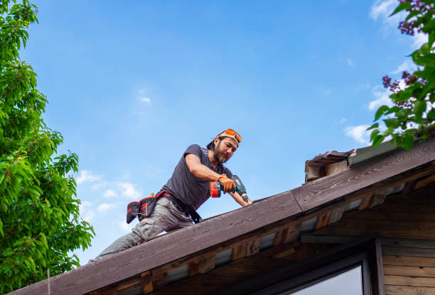 Best Chimney Flashing Repair  in Waverly, MI