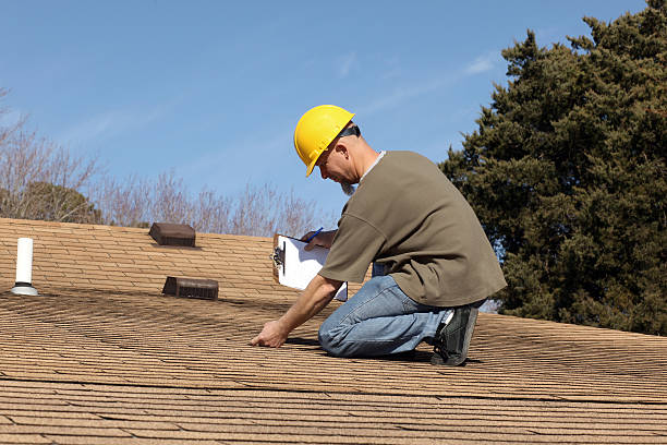 Best Roof Replacement  in Waverly, MI
