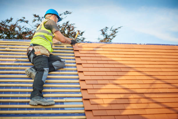 Best Hot Roofs  in Waverly, MI